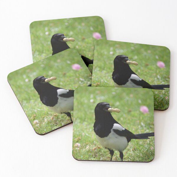 Item preview, Magpie with monkey nut designed and sold by BoganBirdCo.