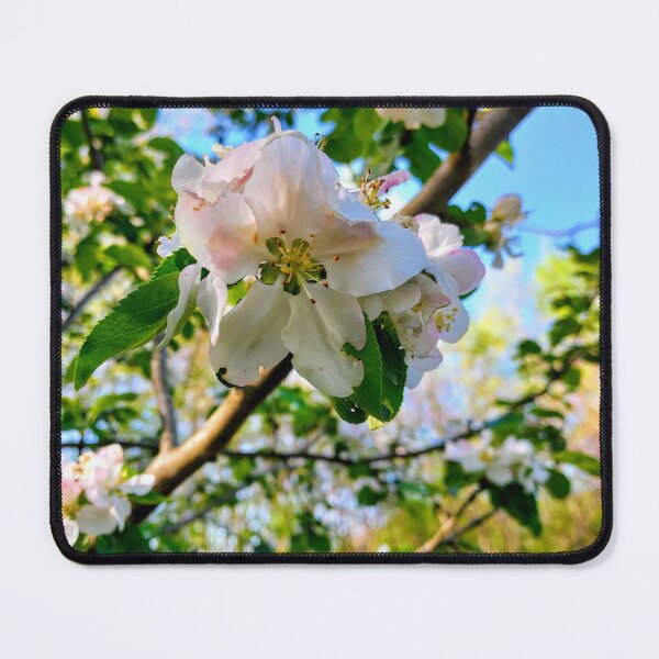 Item preview, Apple Flower designed and sold by JanelSymba.