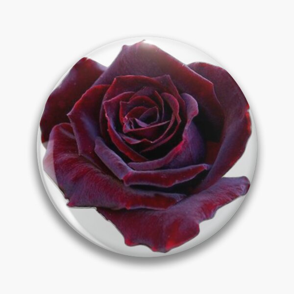 Item preview, Dark rose designed and sold by di-Vera-Rosati.