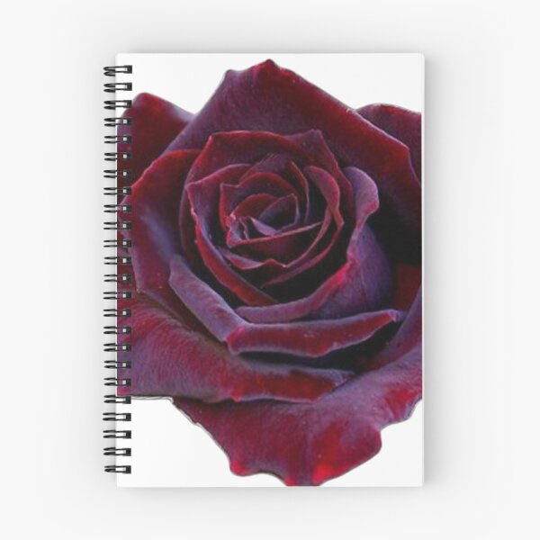 Item preview, Dark rose designed and sold by di-Vera-Rosati.