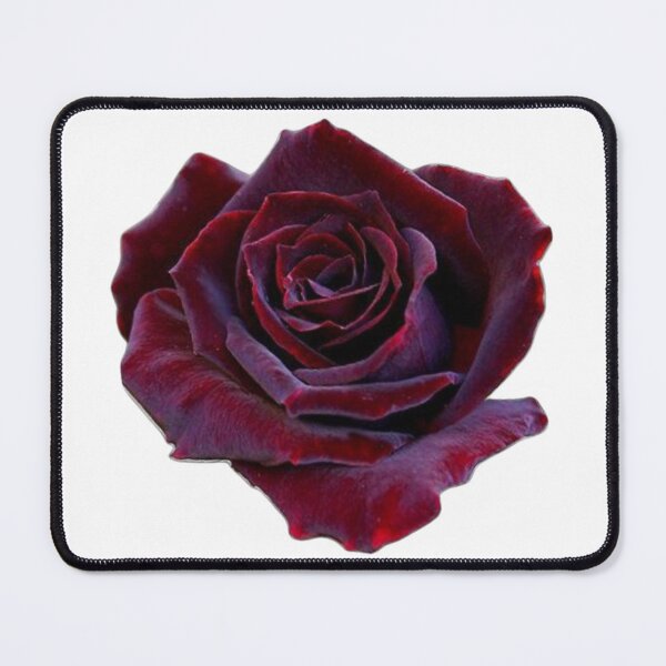 Item preview, Dark rose designed and sold by di-Vera-Rosati.