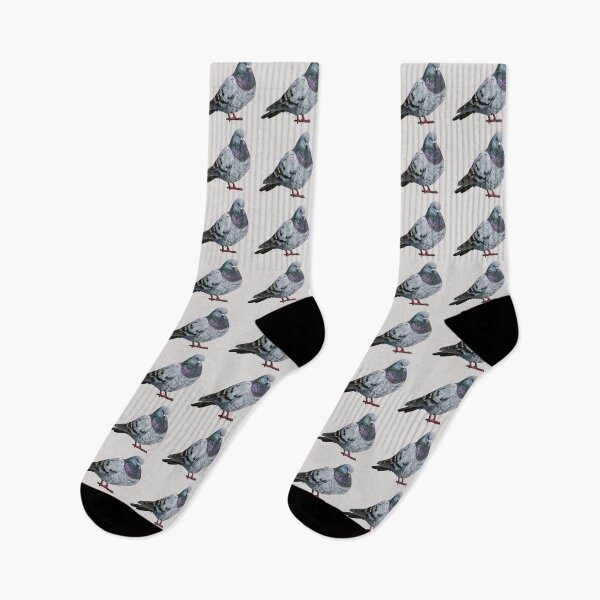 Item preview, Rock Pigeon 9 (no background) designed and sold by Emily Bickell.
