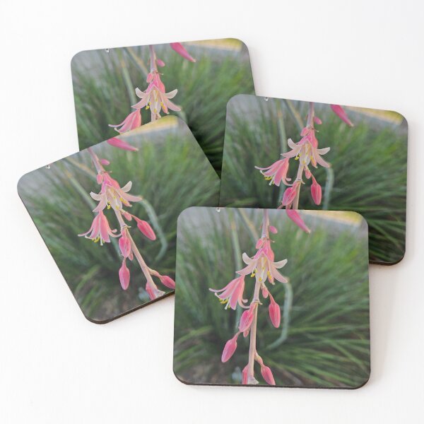 Item preview, False Yucca designed and sold by SMILE by Kira.