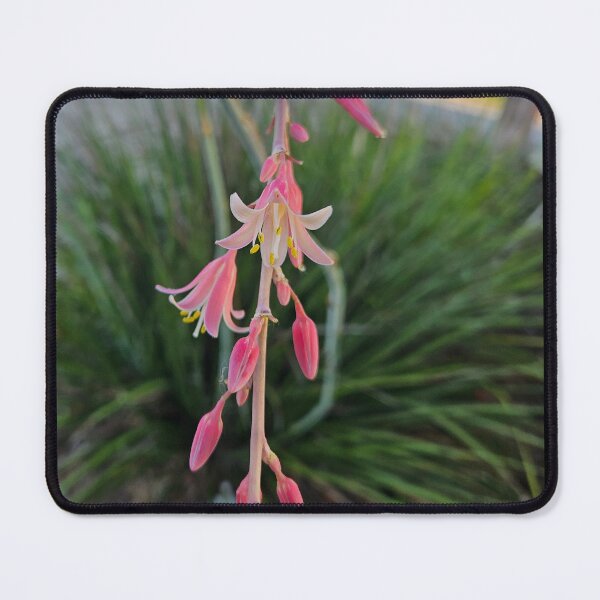 Item preview, False Yucca designed and sold by SMILE by Kira.