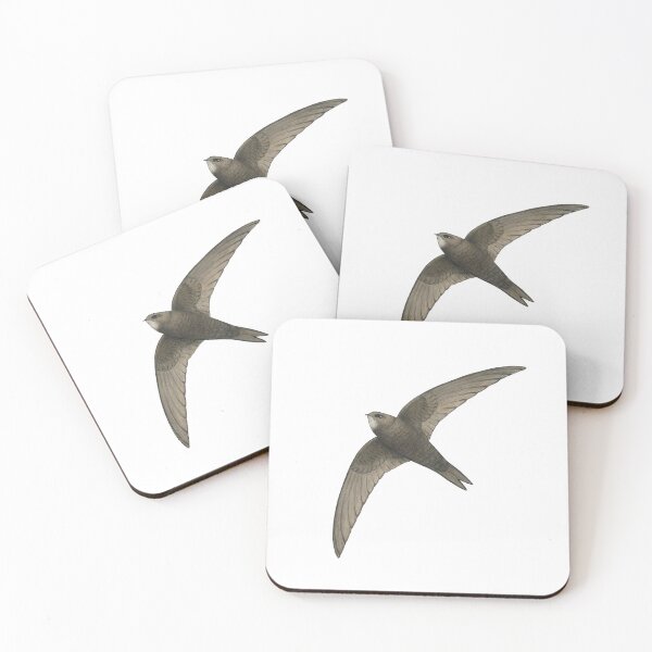 Item preview, Common Swift designed and sold by Holly Grogan Art.