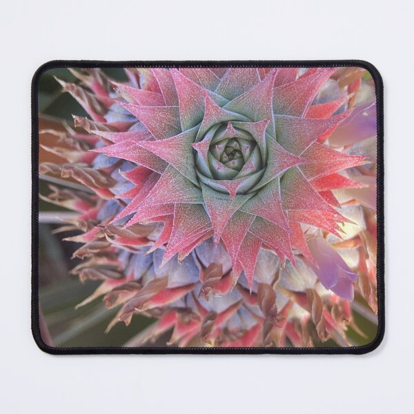 Item preview, Pineapple flower designed and sold by Rhiwii.