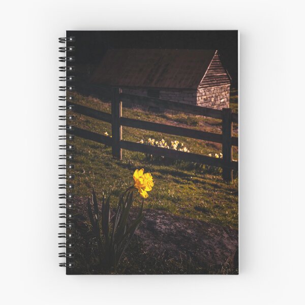 Item preview, Golden Hour Daffodil designed and sold by Jim Love.