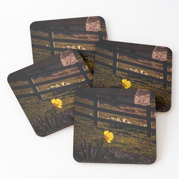 Item preview, Golden Hour Daffodil designed and sold by Jim Love.