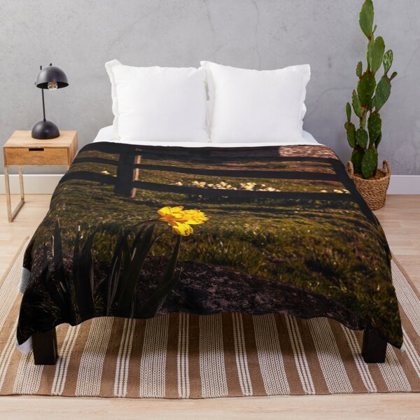 Item preview, Golden Hour Daffodil designed and sold by Jim Love.