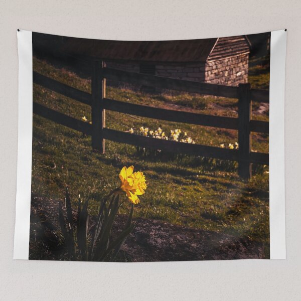 Item preview, Golden Hour Daffodil designed and sold by Jim Love.