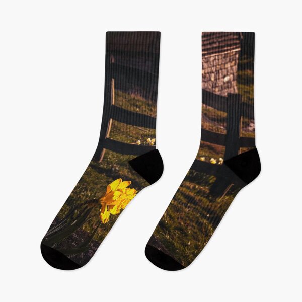 Item preview, Golden Hour Daffodil designed and sold by Jim Love.