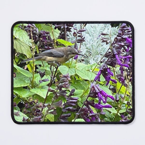 Item preview, Eastern Spinebill designed and sold by Kymbo.