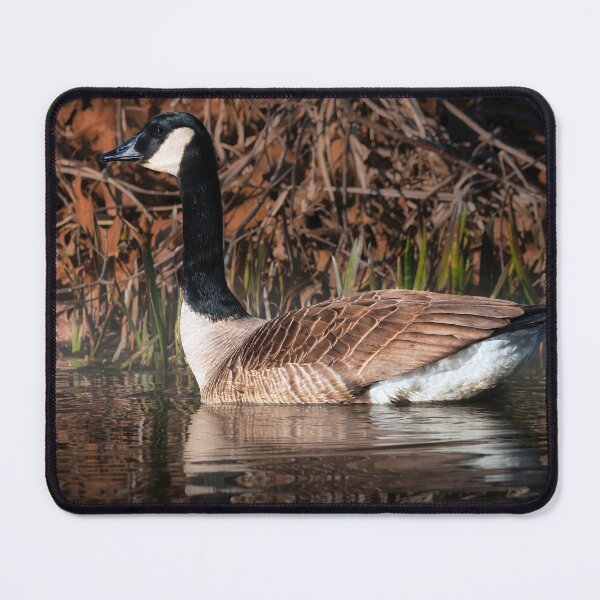 Item preview, Canadian Grace designed and sold by Jim Love.