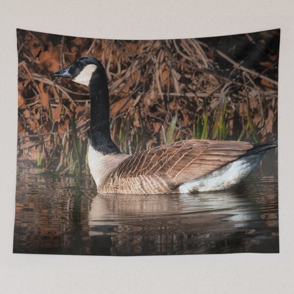 Item preview, Canadian Grace designed and sold by Jim Love.