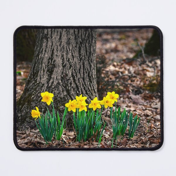 Item preview, Woodland Daffodils designed and sold by Jim Love.