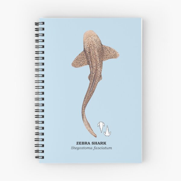 Item preview, LEOPARD/ZEBRA SHARK ABOVE-Stegostoma fasciatum (teeth and name) designed and sold by BEATRIZ ABAITUA.