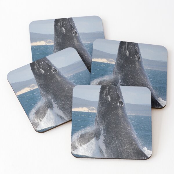 Item preview, Humpback Whale Close Encounter! designed and sold by Kymbo.