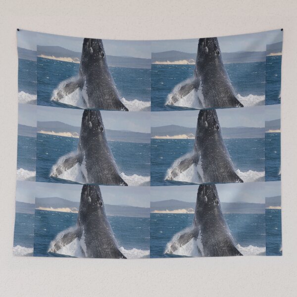 Item preview, Humpback Whale Close Encounter! designed and sold by Kymbo.