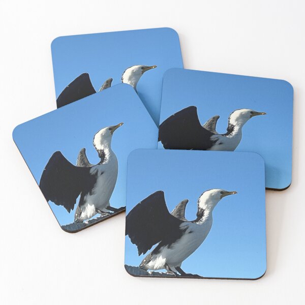 Item preview, Little Pied Cormorant  designed and sold by Kymbo.