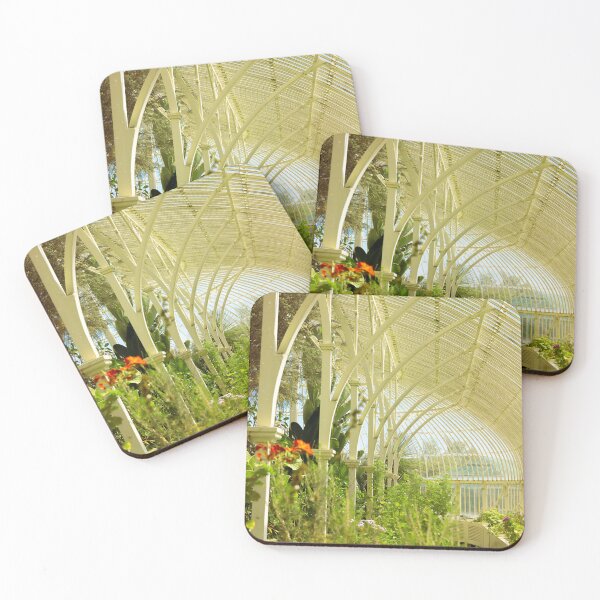 Item preview, Inside the Greenhouse - The National Botanic Gardens of Ireland designed and sold by AKW Media .