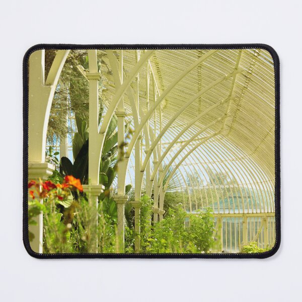 Item preview, Inside the Greenhouse - The National Botanic Gardens of Ireland designed and sold by AKW Media .