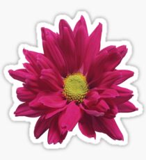 sunflower Sticker