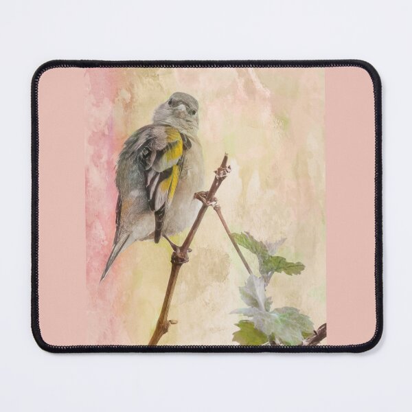 Item preview, Female Lawrence's Goldfinch designed and sold by CarolM.