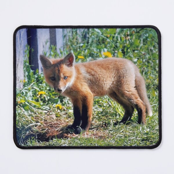 Item preview, Fox baby designed and sold by JanelSymba.