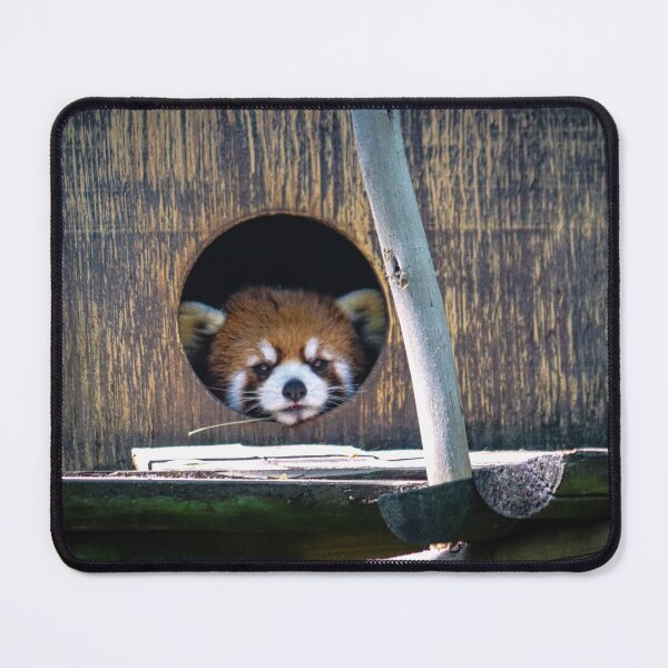 Item preview, Red Panda designed and sold by Picture Perfect.