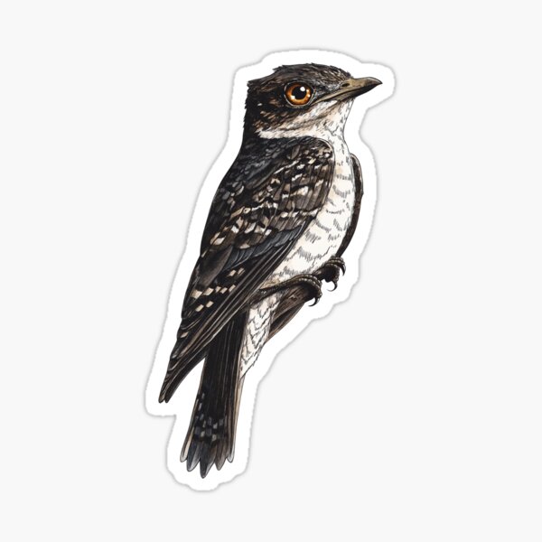 Item preview, Common Nighthawk Majestic Bird designed and sold by MarcinDesign.