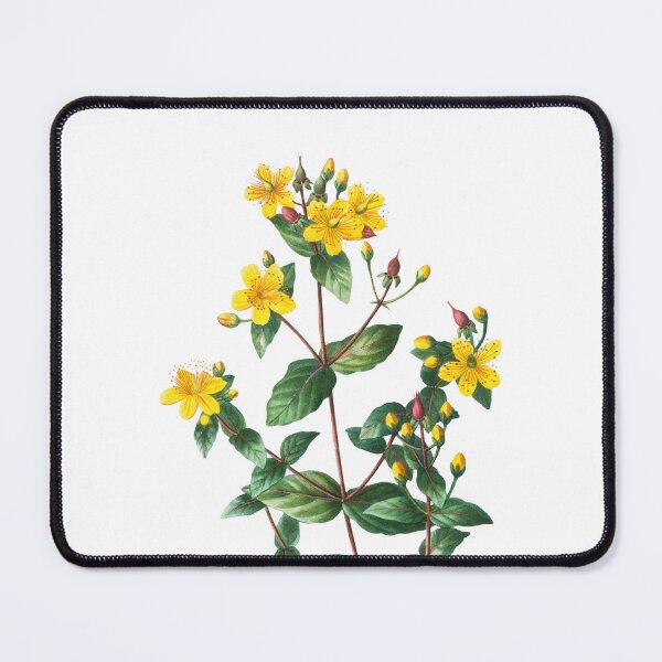 Item preview, Vintage Style Yellow Flowers Stinking Tutsan  designed and sold by Jason Gunti.