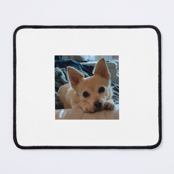Item preview, Chihuahua Fizz designed and sold by TreacleDesigns.