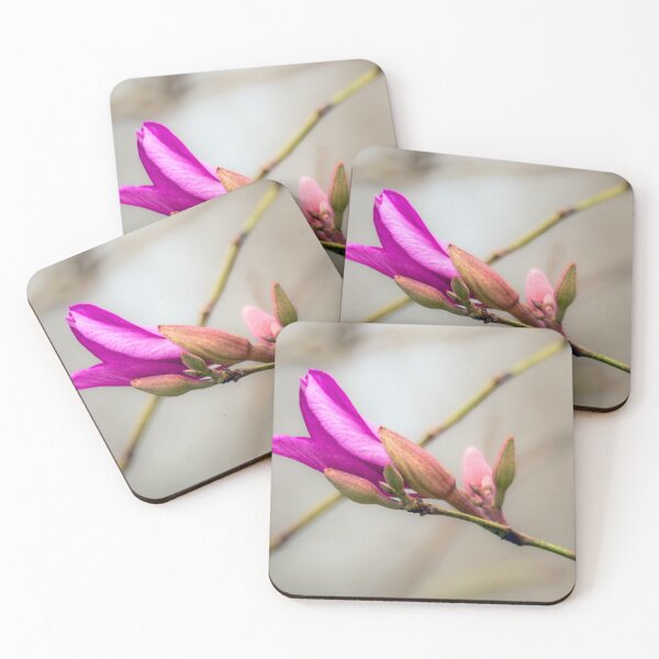 Item preview, Orchid Tree Bud designed and sold by Debra Martz.