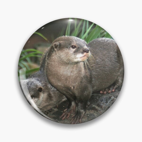 Item preview, Otters designed and sold by STHogan.