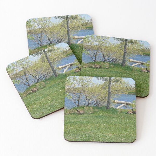 Item preview, Nesting designed and sold by ReccaRedscale.