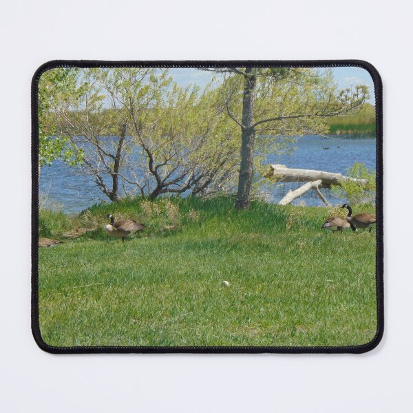 Item preview, Nesting designed and sold by ReccaRedscale.