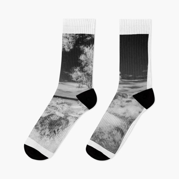 Item preview, Turtle Back Hill Tree Infrared designed and sold by Gerard Fornarotto.