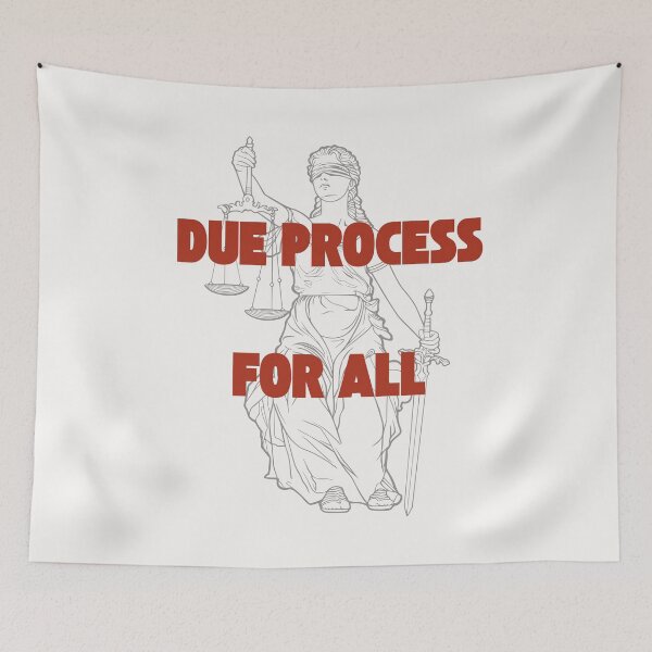 Item preview, Due Process for ALL designed and sold by DesignCollectiv.