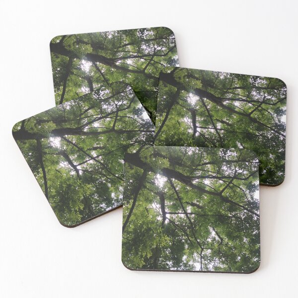 Item preview, Trees and Light designed and sold by Fra-sca-ti.