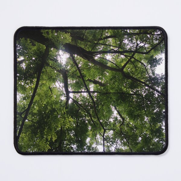 Item preview, Trees and Light designed and sold by Fra-sca-ti.