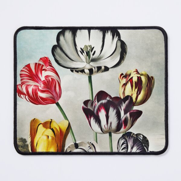 Item preview, Cheerful Tulips from The Temple of Flora (1807) designed and sold by PureVintageLove.