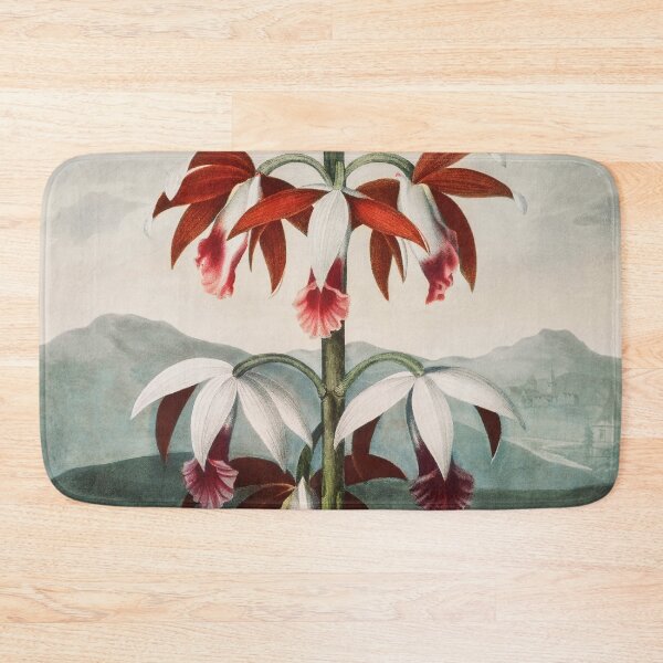 Item preview, Unique Flowers The Chinese Limodoron from The Temple of Flora designed and sold by PureVintageLove.