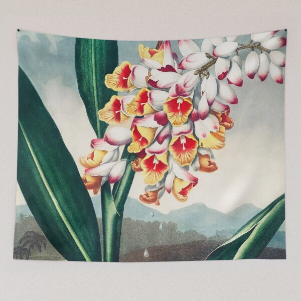 Item preview, The Nodding Renealmia from The Temple of Flora (1807) designed and sold by PureVintageLove.