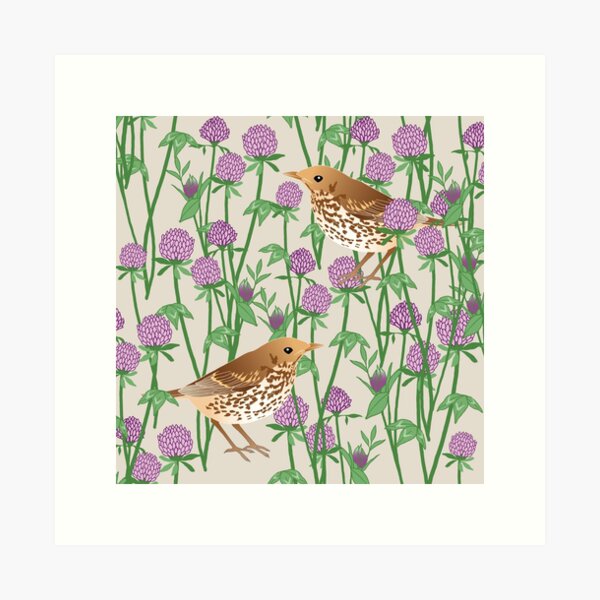 Item preview, Vermont State Flower and Bird designed and sold by WingsandPetals.
