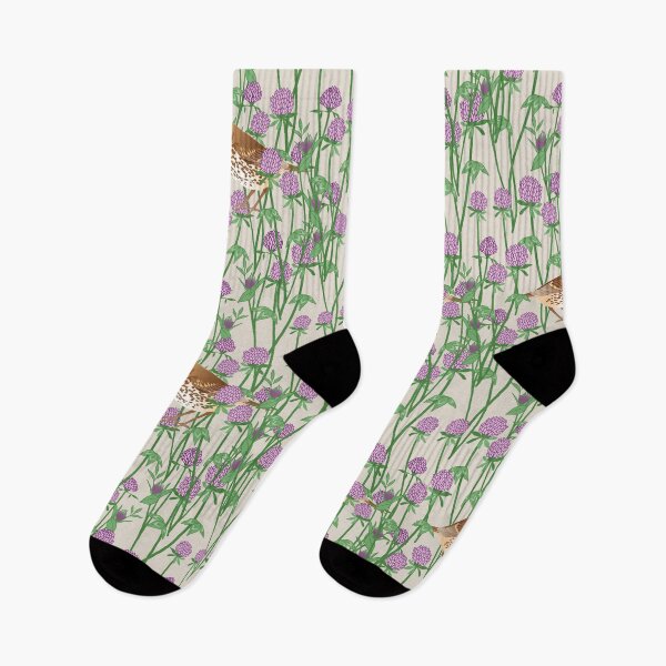 Item preview, Vermont State Flower and Bird designed and sold by WingsandPetals.