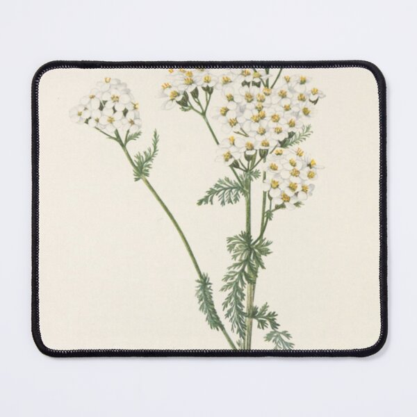 Item preview, Botanical Yarrow designed and sold by BlueSpecsStudio.