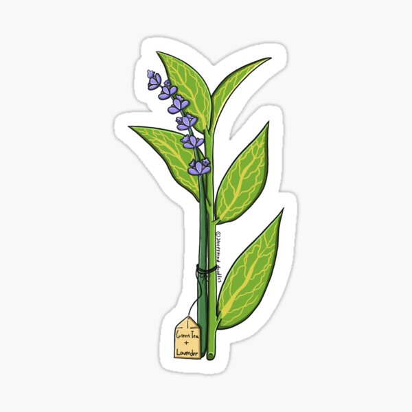 Artikel-Vorschau von Grüner Tee und Lavendel-Paket, designt und verkauft von SleepyHead Doodles.