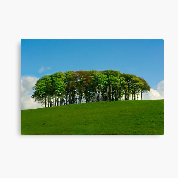 Item preview, The Coming Home Trees designed and sold by Alisonchambers2.