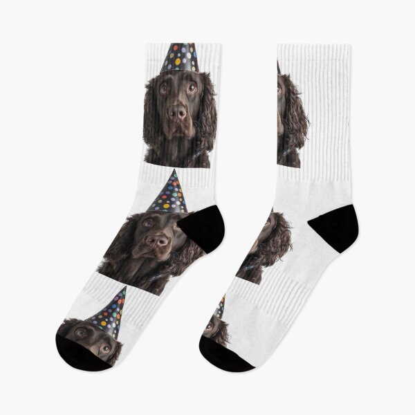 Item preview, Cute American Water Spaniel dog with Party Hat Birthday Celebration designed and sold by LazyOwlStore.
