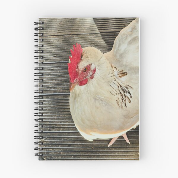Item preview, White Leghorn Chicken designed and sold by Ms-Bexy.